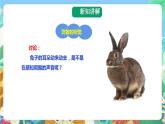 粤科版科学二年级下册  新课标核心素养 1.4《家里的兔子》 课件+素材+教案+分层练习（含答案）