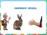 粤科版科学二年级下册  新课标核心素养 1.4《家里的兔子》 课件+素材+教案+分层练习（含答案）