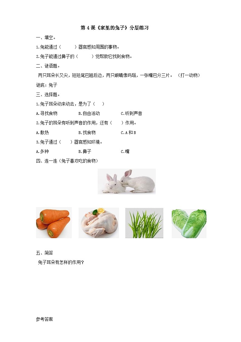 粤科版科学二年级下册  新课标核心素养 1.4《家里的兔子》 课件+素材+教案+分层练习（含答案）01