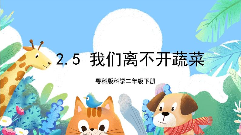 粤科版科学二年级下册  新课标核心素养 2.5《我们离不开蔬菜》课件+素材+教案+分层练习（含答案）01