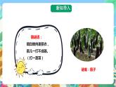粤科版科学二年级下册  新课标核心素养 2.5《我们离不开蔬菜》课件+素材+教案+分层练习（含答案）