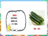 粤科版科学二年级下册  新课标核心素养 2.5《我们离不开蔬菜》课件+素材+教案+分层练习（含答案）
