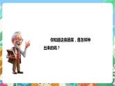 粤科版科学二年级下册新课标核心素养  2.6《动手种蔬菜》课件+素材+教案+分层练习（含答案）