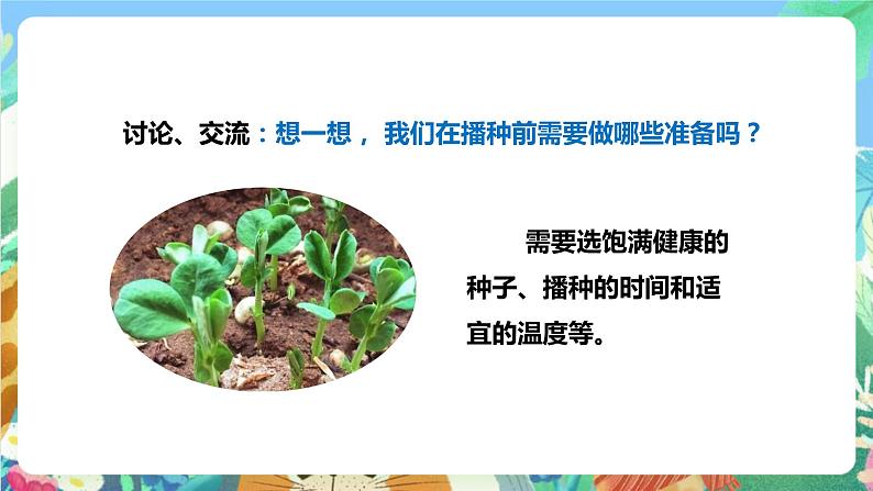 粤科版科学二年级下册新课标核心素养  2.6《动手种蔬菜》课件+素材+教案+分层练习（含答案）06