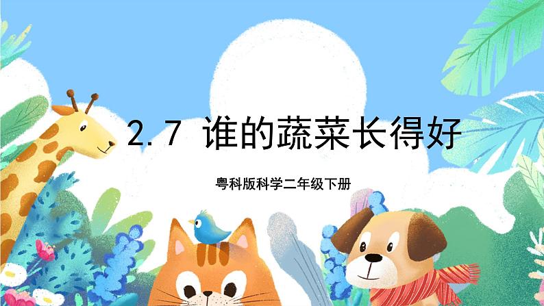 粤科版科学二年级下册  新课标核心素养   2.7《谁的蔬菜长得好》课件+教案+分层练习（含答案）01