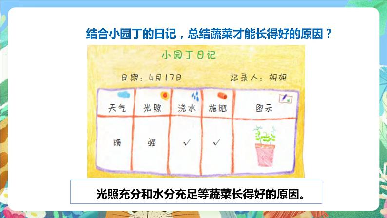 粤科版科学二年级下册  新课标核心素养   2.7《谁的蔬菜长得好》课件+教案+分层练习（含答案）06