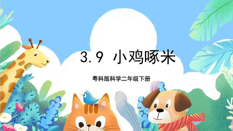 粤科版科学二年级下册 新课标核心素养  3.9《小鸡啄米》 课件+素材+教案+分层练习（含答案）01