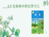 教科版科学六下4.6《生命中的化学变化》课件+知识点+素材