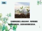 教科版科学六下4.6《生命中的化学变化》课件+知识点+素材