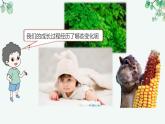 教科版科学六下4.6《生命中的化学变化》课件+知识点+素材