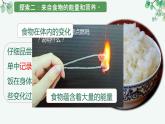 教科版科学六下4.6《生命中的化学变化》课件+知识点+素材