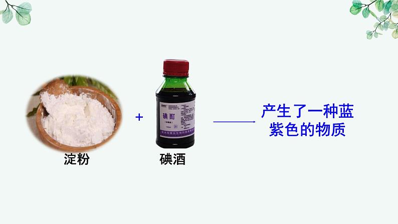 教科版科学六下4.6《生命中的化学变化》课件+知识点+素材06