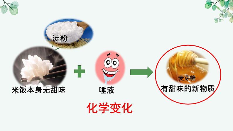 教科版科学六下4.6《生命中的化学变化》课件+知识点+素材08