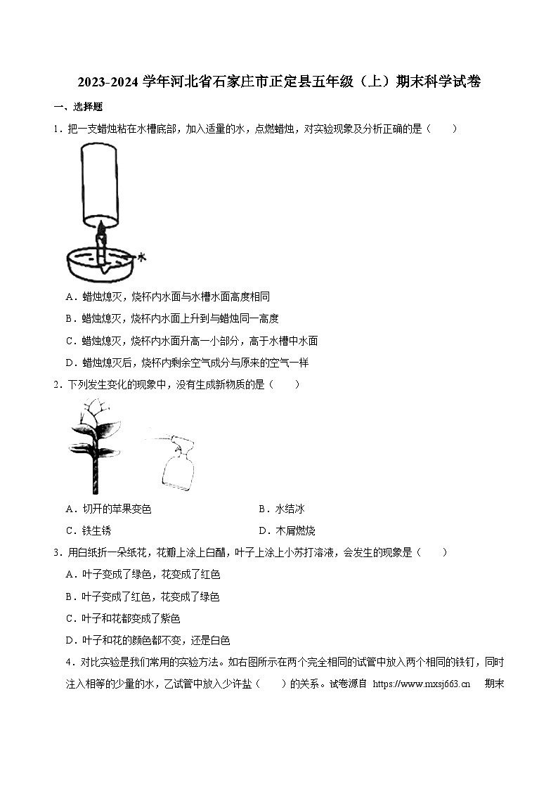 29，河北省石家庄市正定县2023-2024学年五年级上学期期末科学试卷01