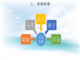 1.1 五官 兄弟 课件T 教案 视频