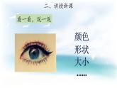 1.1 五官 兄弟 课件T 教案 视频