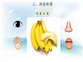 1.2 观察水果 （课件 教案 视频）