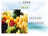 1.2 观察水果 （课件 教案 视频）