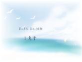 2.1 兔子 （课件 教案 视频）