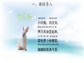 2.1 兔子 （课件 教案 视频）