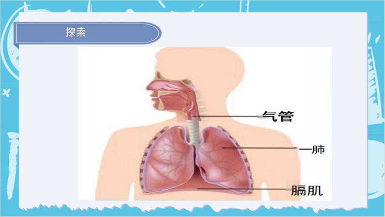 2.1 感受我们的呼吸 课件+教案+练习07