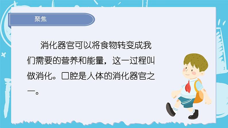 2024-2025教科版小学科学四年级上册 2.7《食物在口腔里的变化》课件PPT第3页