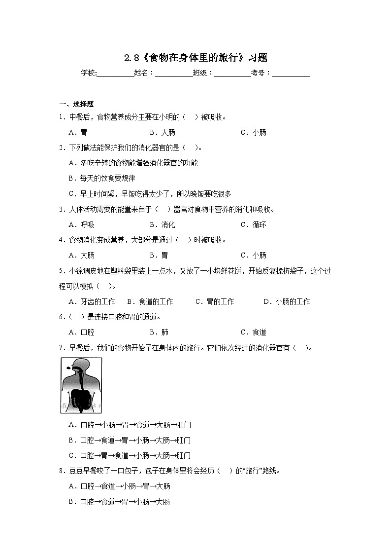 2.8 食物在身体里的旅行 课件+教案+练习01