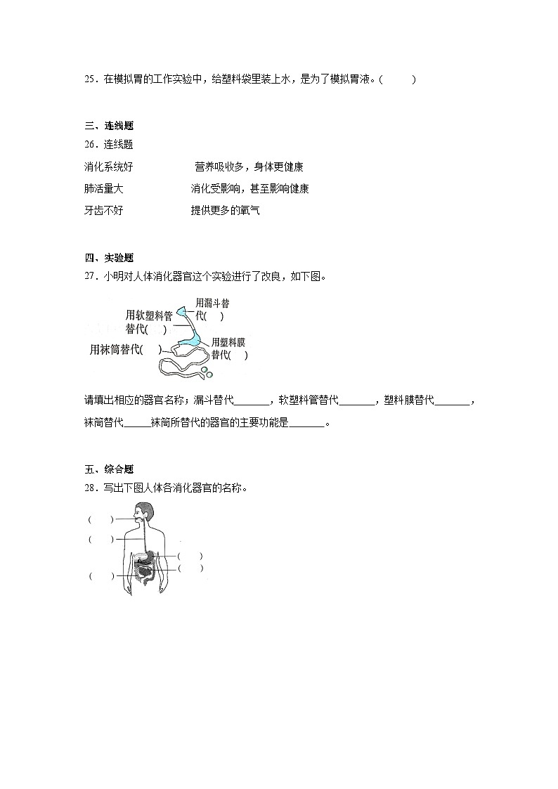 2.8 食物在身体里的旅行 课件+教案+练习03