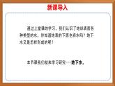 苏教版小学科学三上第四单元《13 地下水》课件+教案+视频+作业