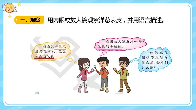 【核心素养】大象版小学科学六上 1.1 《显微镜下的细胞》课件+教案(含教学反思)03