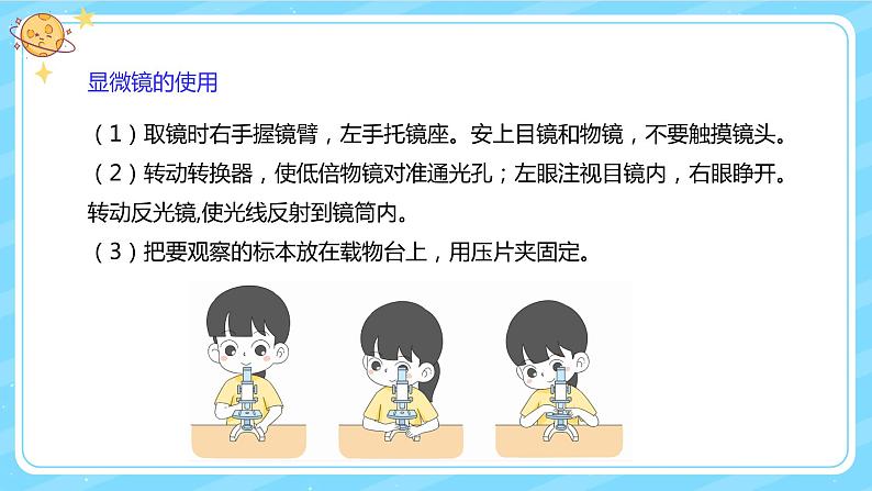 【核心素养】大象版小学科学六上 1.1 《显微镜下的细胞》课件+教案(含教学反思)05