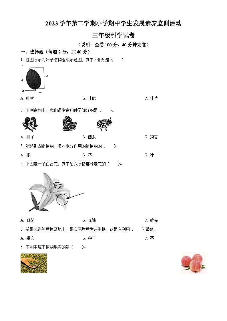 2023-2024学年广东省清远市英德市苏教版三年级下册期中考试科学试卷（学生版+教师版）01