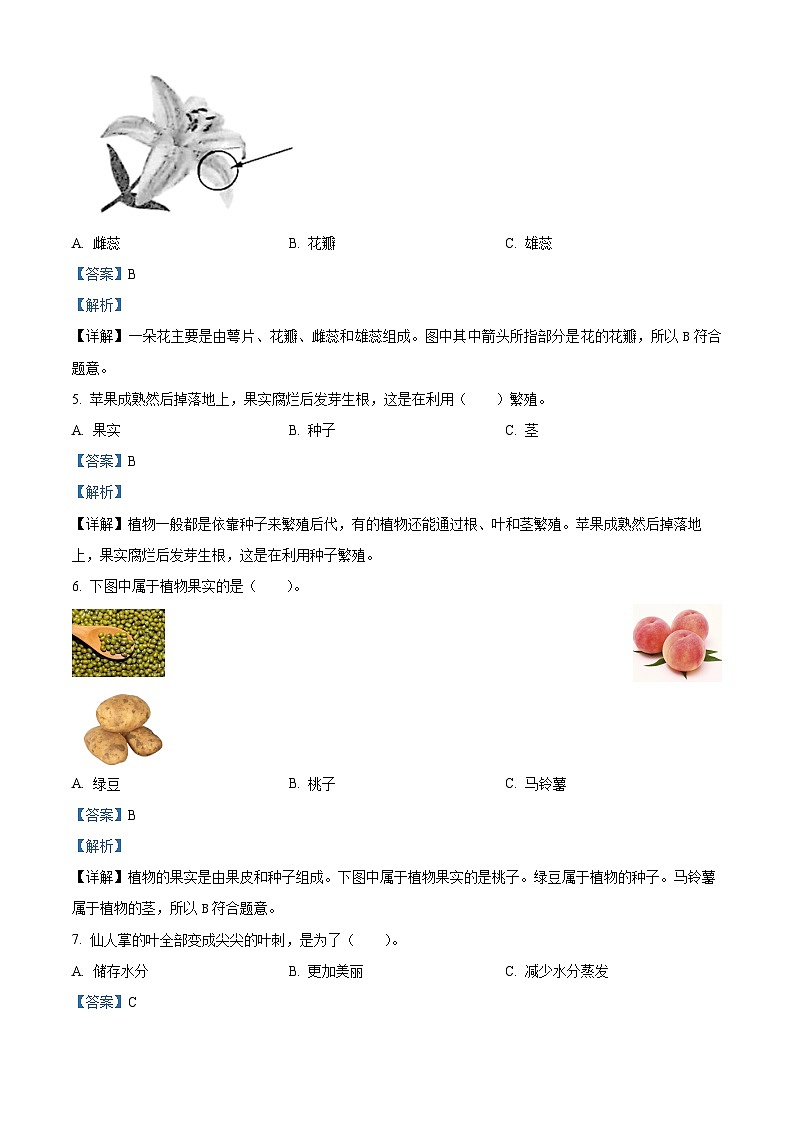 2023-2024学年广东省清远市英德市苏教版三年级下册期中考试科学试卷（学生版+教师版）02