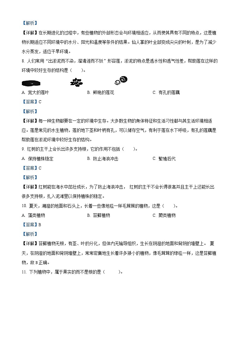 2023-2024学年广东省清远市英德市苏教版三年级下册期中考试科学试卷（学生版+教师版）03