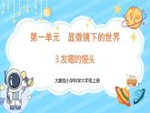 【核心素养】大象版小学科学六上 1.3《发霉的馒头》课件+教案(含教学反思)(1)