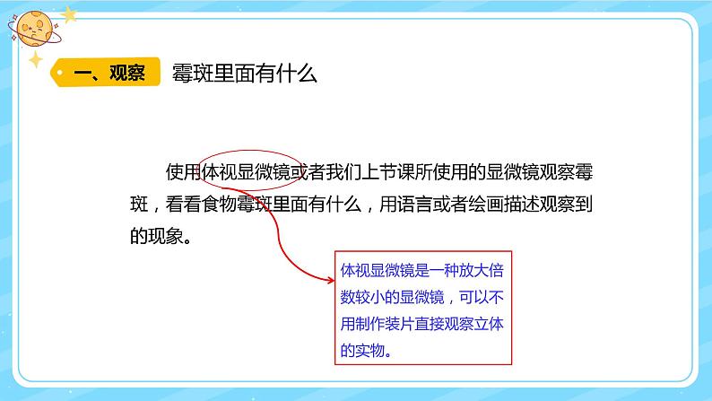 【核心素养】大象版小学科学六上 1.3《发霉的馒头》课件+教案(含教学反思)(1)03