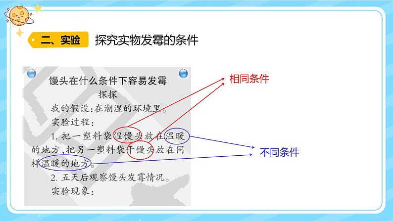 【核心素养】大象版小学科学六上 1.3《发霉的馒头》课件+教案(含教学反思)(1)08