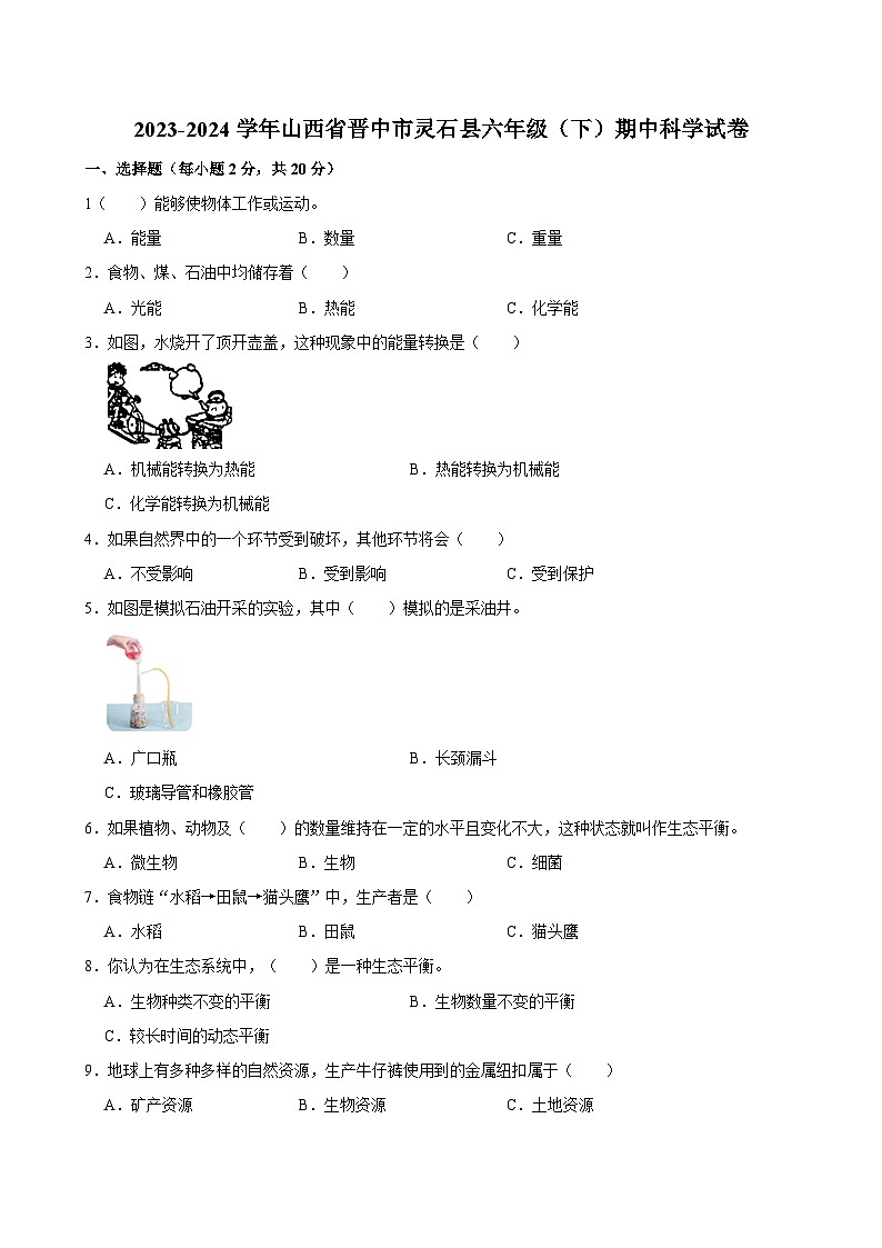 2023-2024学年山西省晋中市灵石县六年级（下）期中科学试卷01