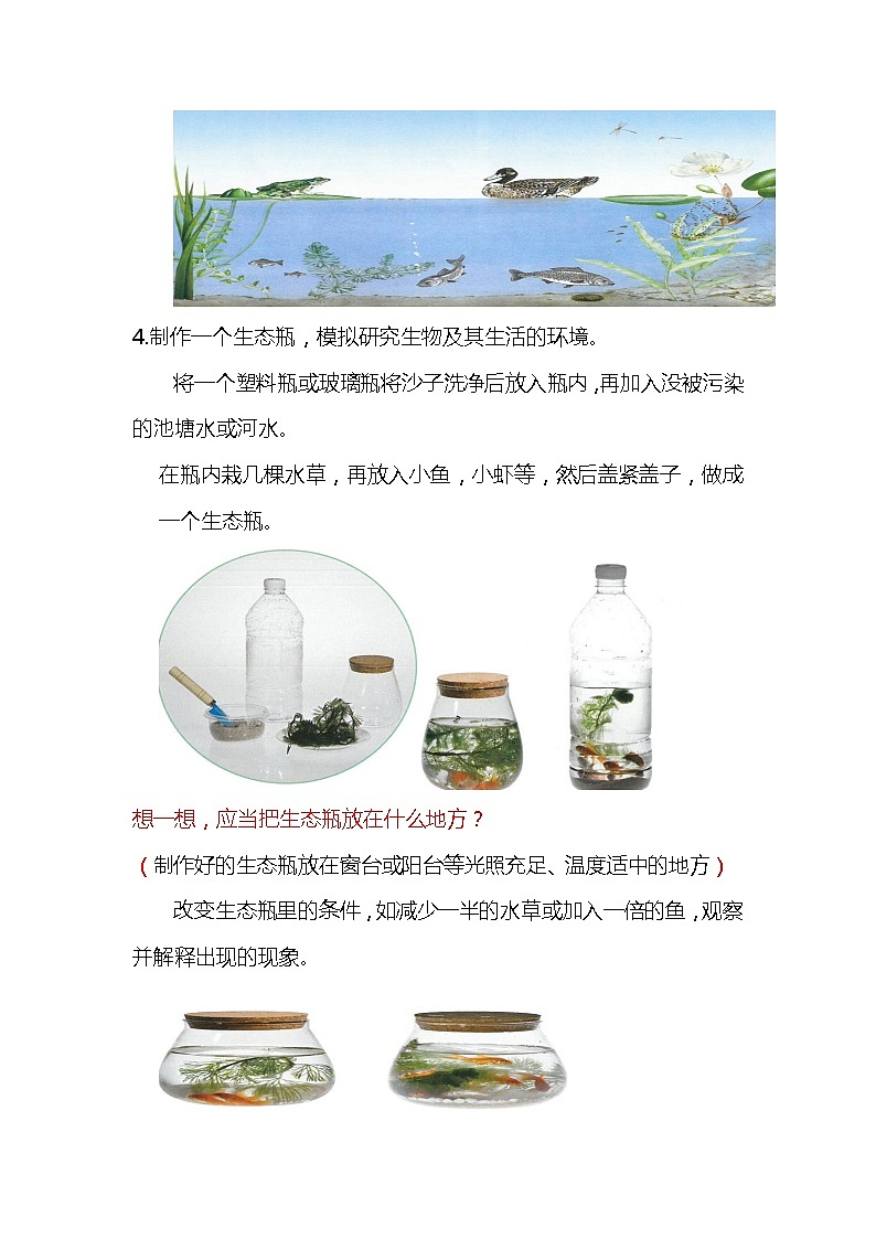 人教鄂教版科学1.1《生物的栖息地》知识梳理02