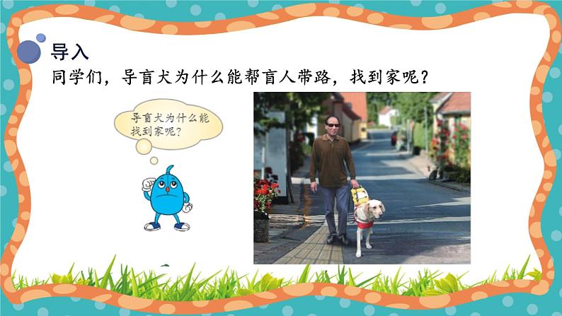 【核心素养】冀人版小学科学一年级 上册 10.动物的感官 课件+教案（含教学反思）04