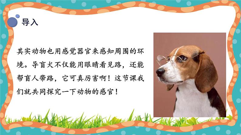 【核心素养】冀人版小学科学一年级 上册 10.动物的感官 课件+教案（含教学反思）06