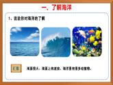 苏教版小学科学三上第四单元《14 海洋》课件+教案+视频+作业