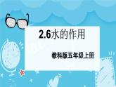2.6水的作用（课件+教案+练习）2024科学五上