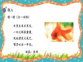 【核心素养】冀人版小学科学一年级 上册 9.观察金鱼 课件+教案（含教学反思）