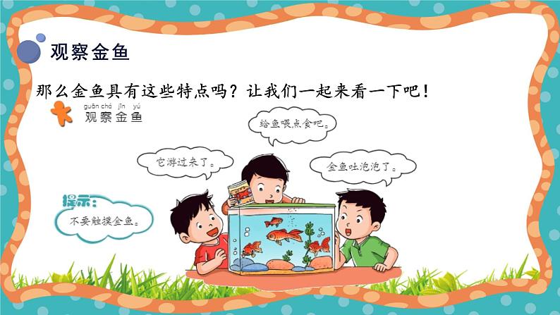 【核心素养】冀人版小学科学一年级 上册 9.观察金鱼 课件+教案（含教学反思）08