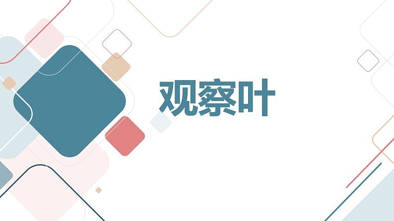 小学一年级上教科版科学：观察叶上课课件01