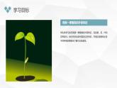 小学一年级上教科版科学：观察一棵植物上课课件