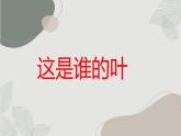 小學一年級上教科版科學：這是誰的葉上課課件