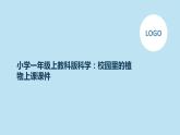 小学一年级上教科版科学：校园里的植物上课课件