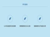 小学一年级上教科版科学：校园里的植物上课课件